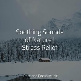 Album cover of Soothing Sounds of Nature | Stress Relief