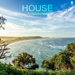 Album cover of House Syndrome