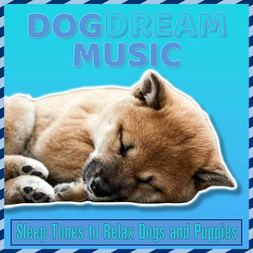 can music relax dogs