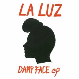 Album cover of Damp Face