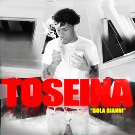 Album cover of Toseina