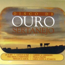 Album cover of Disco de Ouro Sertanejo Volume II