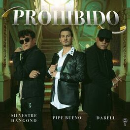Album cover of Prohibido