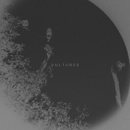 Album cover of Vultures