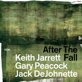 Album cover of After The Fall (Live)