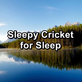 Album cover of Sleepy Cricket for Sleep