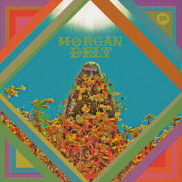 Album cover of Morgan Delt