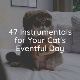 Album cover of 47 Instrumentals for Your Cat's Eventful Day