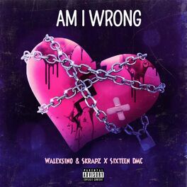 Album cover of AM I WRONG ? (feat. Skrapz & Sixteen DMC)