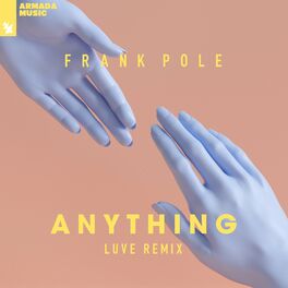 Album cover of Anything (LUVE Remix)
