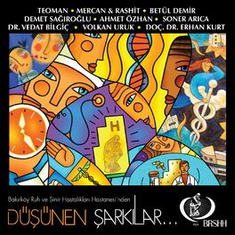 Album cover of Düşünen Şarkılar