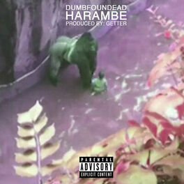 Album cover of Harambe