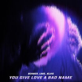 Album cover of You Give Love A Bad Name