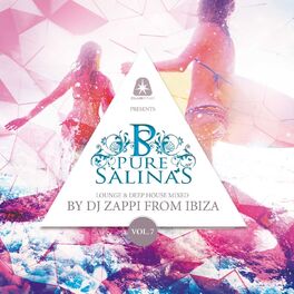 Album cover of Pure Salinas, Vol. 7 (Compiled by DJ Zappi)