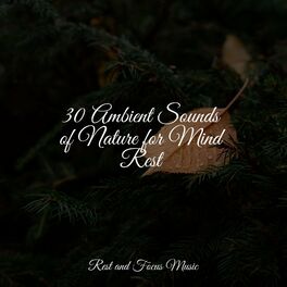 Album cover of 30 Ambient Sounds of Nature for Mind Rest