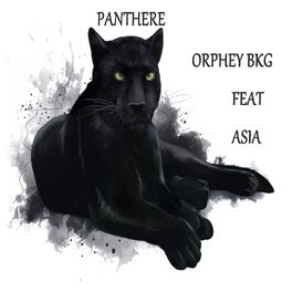 Album cover of Panthère