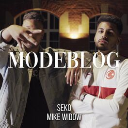 Album cover of Modeblog (feat. Mike Widow)