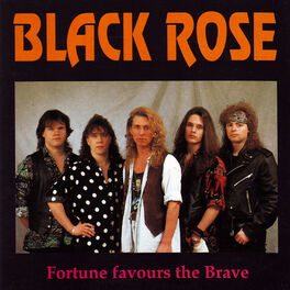 Album cover of Fortune Favours the Brave