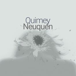 Album cover of Quimey Neuquén