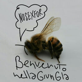 Album cover of Benvenuto Nella Giungla