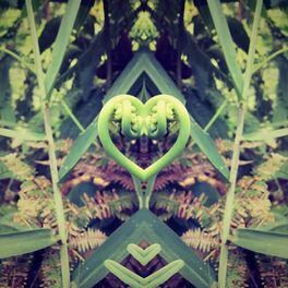 Album cover of Om Flormosura