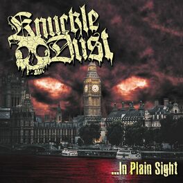 Album cover of In Plain Sight