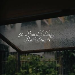 Album cover of 50 Peaceful Sleepy Rain Sounds