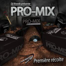 Album cover of DJ Kronik Présente Pro-Mix 1
