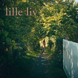 Album cover of lille liv