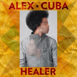 Album cover of Healer