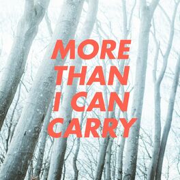 Album cover of More Than I Can Carry