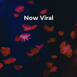 Album cover of Now Viral