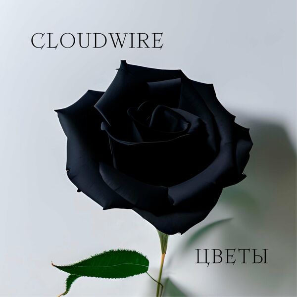 Cloudwire - Цветы [single] (2023)