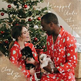 Album cover of Wrapped Under the Tree