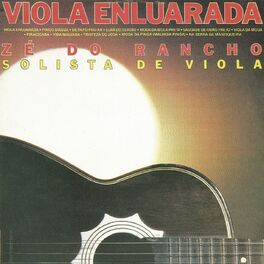 Album cover of Viola enluarada