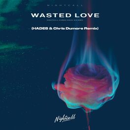 Album cover of Wasted Love (HADES & Chris Dumore Remix)