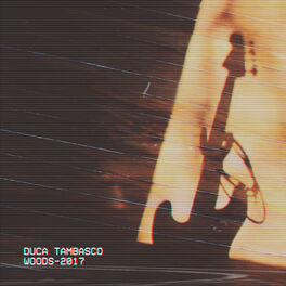 Album cover of Woods