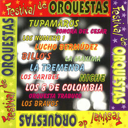 Album cover of Festival de Orquestas