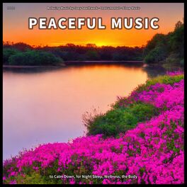 Album cover of ! ! ! ! Peaceful Music to Calm Down, for Night Sleep, Wellness, the Body