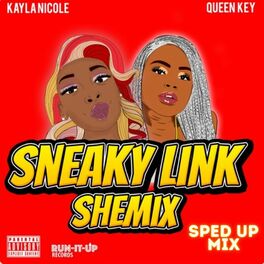 Album cover of Sneaky Link Shemix (Sped Up Mix)