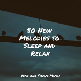 Album cover of 50 New Melodies to Sleep and Relax