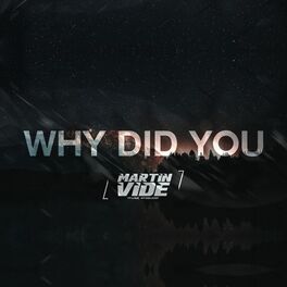 Album cover of Why Did You