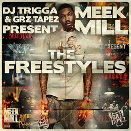 Album cover of The Freestyles (DJ Trigga & Grz Tapez Present)
