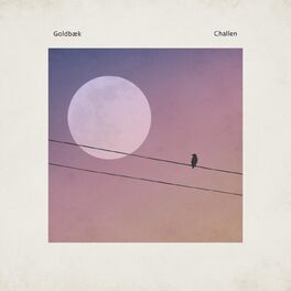 Album cover of Challen