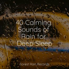 Album cover of 40 Calming Sounds of Rain for Deep Sleep