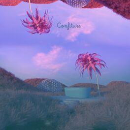 Album cover of Confiture (Instrumental)