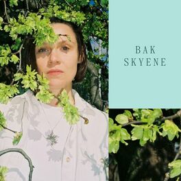 Album cover of Bak skyene