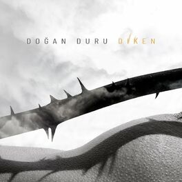 Album cover of Diken
