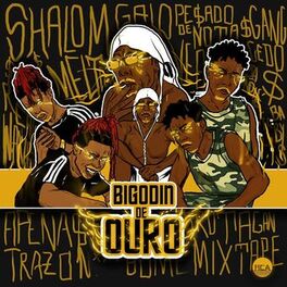 Album cover of Bigodin de Ouro