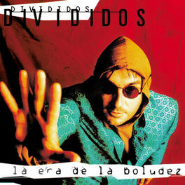 Album cover of La Era De La Boludez